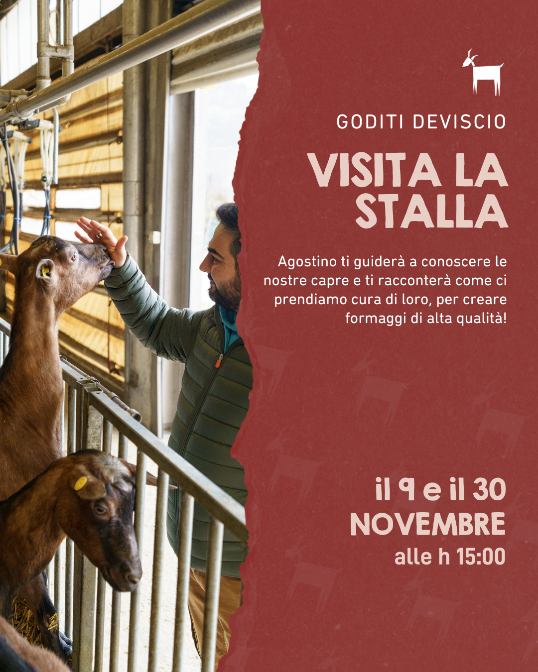 Visita la Stalla con Agostino!