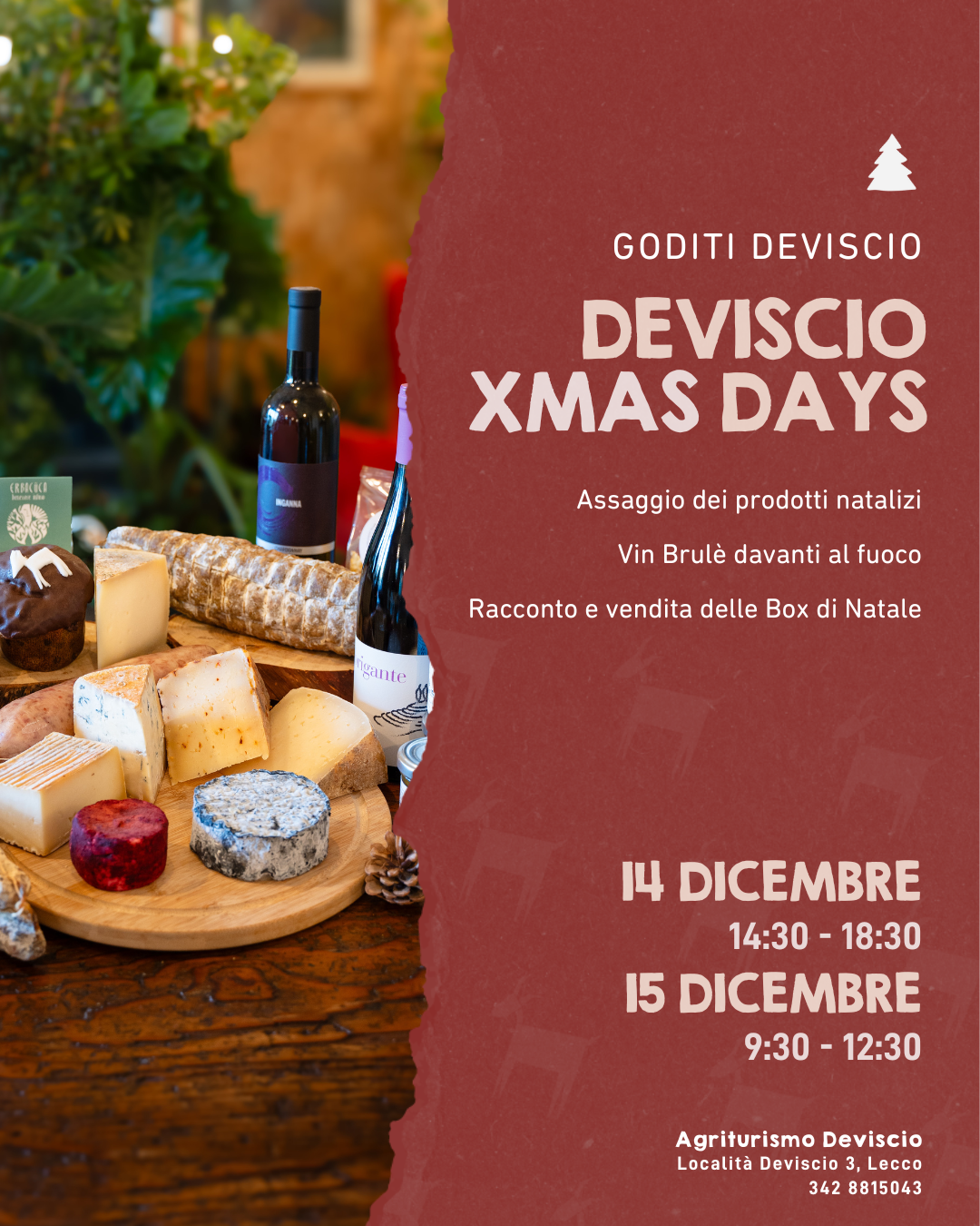 Deviscio XMas Days